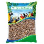 Mistura Pássaros da Terra - Sementes Integrais - 500g