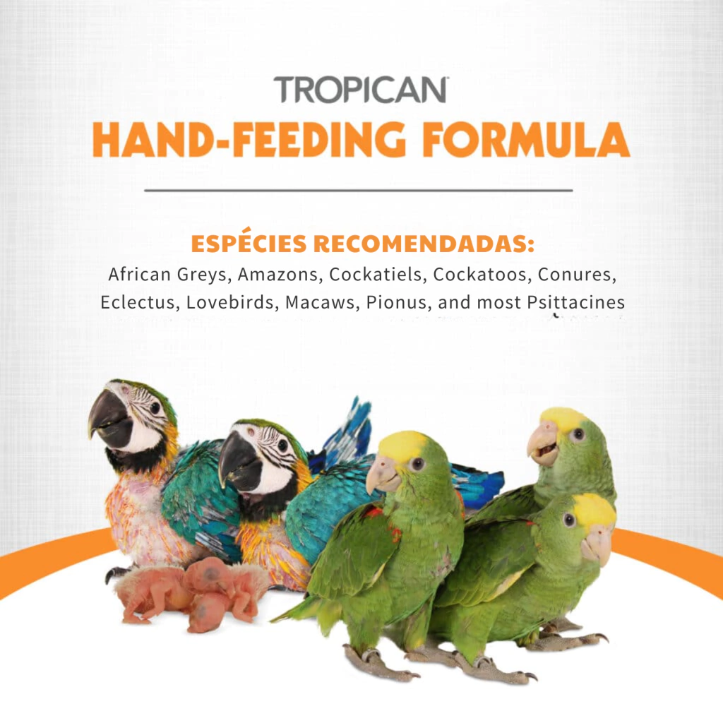 Hari - Tropican Papa à Mão para Filhotes - 2 kg - imagem 6