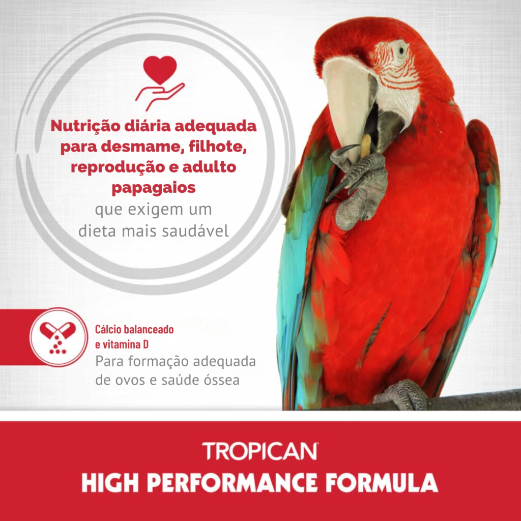 Hari - Extrusada Tropican Alta Performance HP4 - Papagaio - 11,34kg - imagem 3