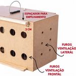 Transportador Aéreo - 4 Pássaros Pequeno Porte  - imagem 8