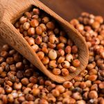 Sorgo Vermelho - 5kg - imagem 4