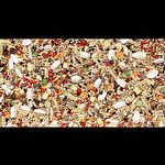 Nutrópica - Calopsita - Gourmet - 900g - imagem 2