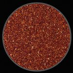 Painço Vermelho - 2,5 kg - imagem 2