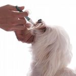 Aplicador de Remédios Comprimidos - Cães e Gatos - imagem 5