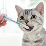 Aplicador de Remédios Comprimidos - Cães e Gatos - imagem 8
