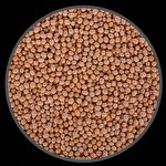Soja em Grão - 500g - imagem 2