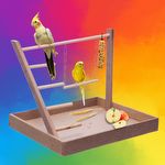 Playground Natural Para Calopsita e Agapornis - imagem 5